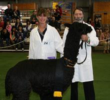 Black Sabbath - Sydney Royal 2011
